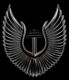 VALKYRIE SOCIETY